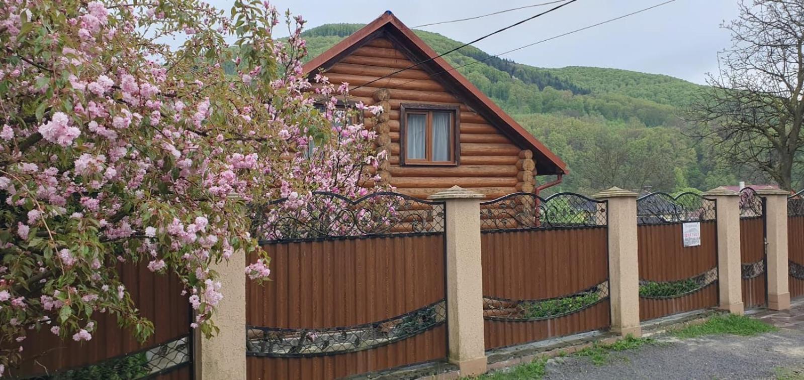 Smerekovyi Dvir Polyana  Exterior foto